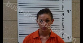 LONG, BRENDA NELL | 2019-07-24 22:20:00 Cherokee County, North Carolina Booking