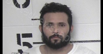 ANDRADE-MARTINEZ, WILLIAN | 2019-07-24 11:39:00 Chase County, Kansas Booking