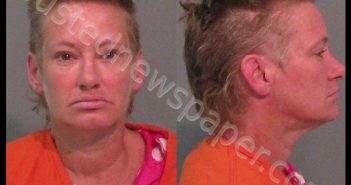 BROWN, DIANA NICHOLE | 2019-07-24 19:44:55 York County, South Carolina Booking