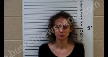 BROOKS, RYLEE RAE | 2019-07-25 13:58:00 Cherokee County, North Carolina Booking