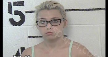 SHAPLEY, BRITTANY CHYANN | 2019-07-25 11:22:00 Chase County, Kansas Booking