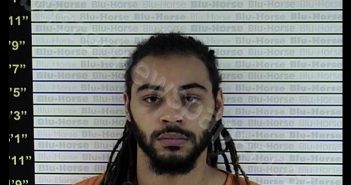 WIGGINS, JENTRY R | 2019-07-25 09:20:00 Graves County, Kentucky Booking