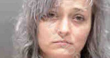 <B>ROY</B>, <B>JENNIFER</B> KAREN #, Sarasota County, Florida - 2019-07-25