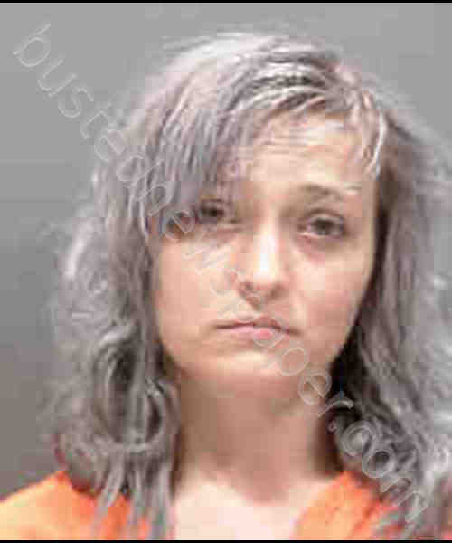 ROY, JENNIFER KAREN #, Sarasota County, Florida - 2019-07-25