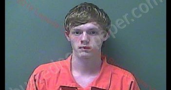 IAN ANDREW MCFARLAND | 2019-07-25 11:52:00 Laporte County, Indiana, La Porte County, Indiana Booking
