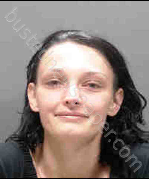 DOUGHERTY, TORY RENEE #, Sarasota County, Florida - 2019-07-25