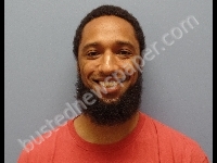 BROWN ZACHARY M | 2019-07-25 Erie County, Ohio Booking