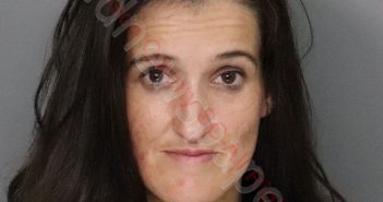 JOANIE MARIE RICE | 2019-07-26 03:27:00 Anderson County, South Carolina Booking