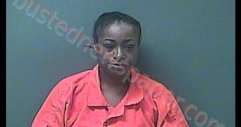 GOLDIE APRIL PATTERSON | 2019-07-26 15:53:00 Laporte County, Indiana, La Porte County, Indiana Booking