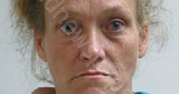 LASHLEY, THERESA ANN | 2019-07-26 15:48:00 Coosa County, Alabama Booking