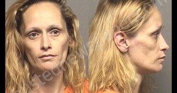 SOWLES,TIFFANY ANN | 2019-07-27 02:32:00 Saline County, Kansas Booking