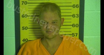 RYAN S BUDINGER | 2019-07-27 15:56:00 Ottawa County, Ohio Booking