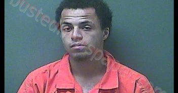 DANTE T BRIOLI | 2019-07-28 22:32:00 Laporte County, Indiana, La Porte County, Indiana Booking