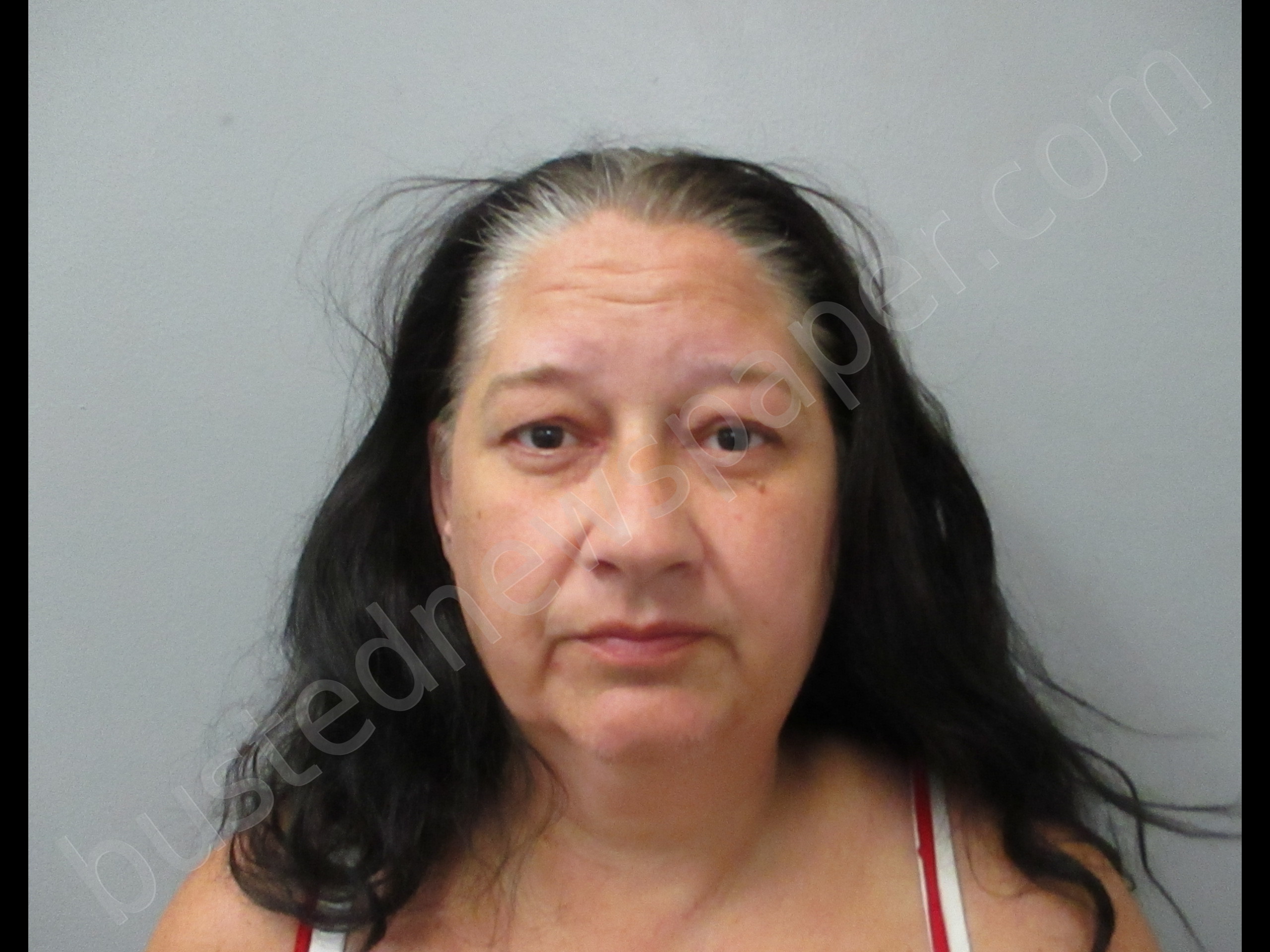 BRIGGS, STEPHANIE ANN #, Madison County, Alabama - 2019-07-29 17:38:00