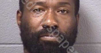 MYERS, VINCENT L | 2019-07-29 12:05:00 Will County, Illinois Booking