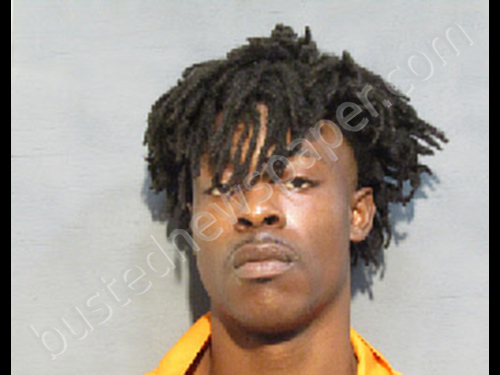 WILLIAMS, DESMOND DEVONTE #, Houston County, Alabama - 2019-07-29 20:25:00