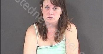HELVESTINE, ERICA ANN | 2019-07-29 00:38:00 Roanoke County, Virginia Booking