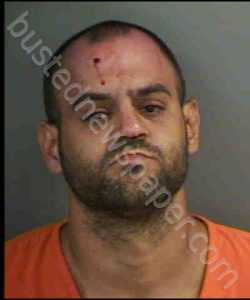 BLANCOGARCES,MICHEL | 2019-07-29 Collier County, Florida Booking