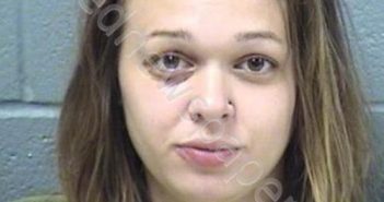 OLEARY, MEGAN M | 2019-07-29 15:16:00 Will County, Illinois Booking