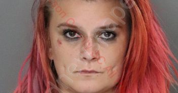 <B>MEGAN</B> BETH MARCENGILL #, <b>Anderson</b> County, South Carolina, Anderson County, South Carolina - 2019-07-30 13:07:00