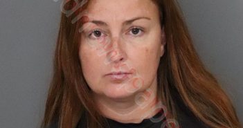 AUTUMN DANELL JOHNSON | 2019-07-30 20:16:00 Anderson County, South Carolina Booking