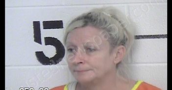 WILSON, JACQUELYN BETH | 2019-07-30 08:40:00 Chase County, Kansas Booking