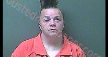 STEPHANIE A BERG | 2019-07-30 14:56:00 Laporte County, Indiana, La Porte County, Indiana Booking