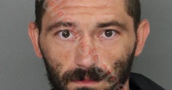 JOSHUA ALLEN RYEA | 2019-07-30 23:08:00 Anderson County, South Carolina Booking