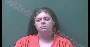 HEATHER R ROBBINS | 2019-07-30 05:05:00 Laporte County, Indiana, La Porte County, Indiana Booking