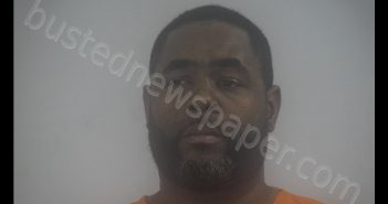 EARL BRYANT BOONE | 2019-07-30 12:25:00 Western Tidewater, Virginia Booking