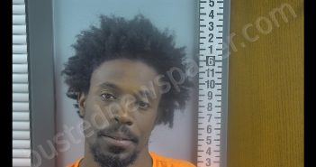 QUINTAVIOUS J WINGO | 2019-07-30 13:07:00 Ottawa County, Ohio Booking