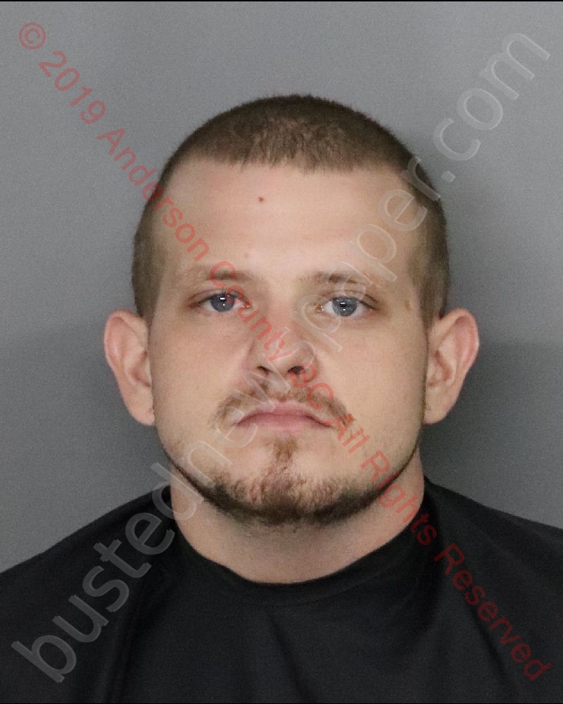DYLAN DEAN KNIGHT #, Anderson County, South Carolina - 2019-07-30 15:49:00