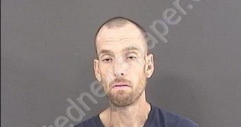BREEDLOVE, JOHN MICHAEL | 2019-07-30 00:46:00 Roanoke County, Virginia Booking