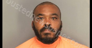 RIVERS, ANDREA LEON | 2019-07-31 20:48:00 Florence County, South Carolina Booking