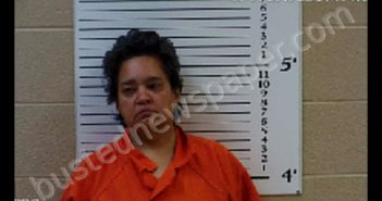 CHAISTAIN, DAWN MARIE-FONTANEZ | 2019-07-31 20:48:00 Cherokee County, North Carolina Booking