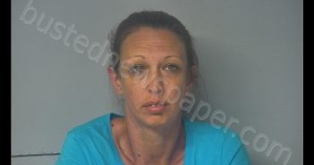 LESLIE NICHOLE SYKES | 2019-07-31 18:45:00 Virginia Peninsula Regional Jail, Virginia Booking