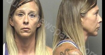 WILSON,LORI ANN | 2019-08-01 15:40:00 Saline County, Kansas Booking