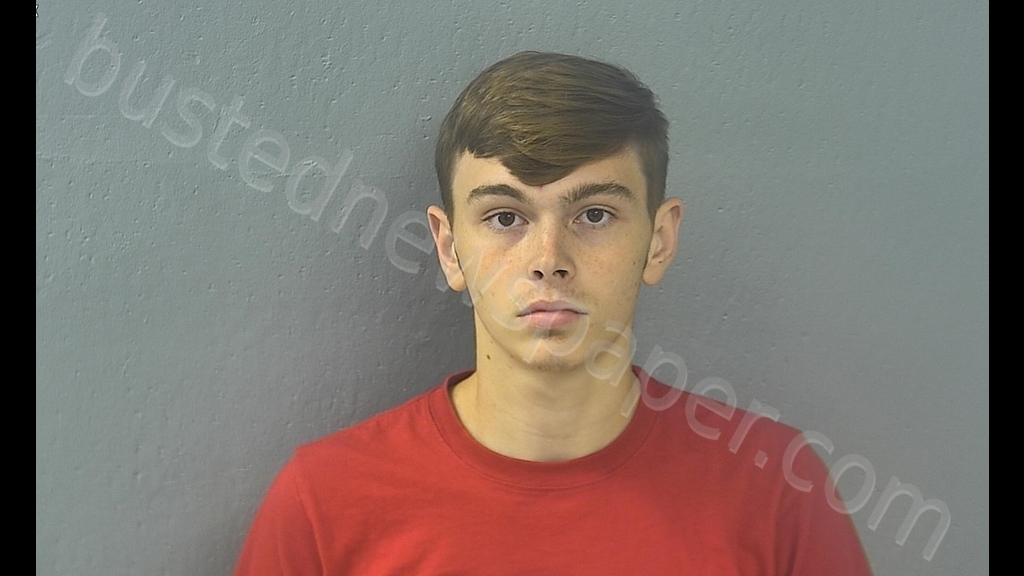 BLAKE EDWARD NEPTUNE #, Greene County, Missouri - 2019-08-01 23:42:00