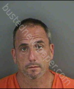 SALVANI,NICHOLAS JOHN | 2019-08-01 Collier County, Florida Booking