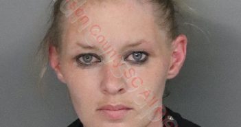 KAYLA MARIE LOWRY | 2019-08-01 17:13:00 Anderson County, South Carolina Booking