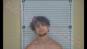 AUSTIN M WALLIS | 2019-08-02 04:46:00 Taylor County, Kentucky Booking