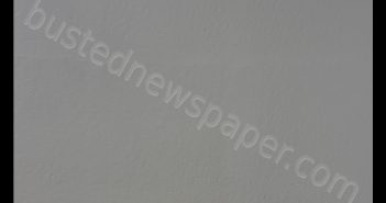 <B>KRISTI</B> <B>RENEE</B> <B>CONLON</B> #, Greene County, Missouri - 2019-08-02 00:55:00