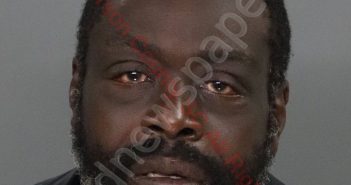 MICHAEL DWAYNE PETTIGREW | 2019-08-02 19:09:00 Anderson County, South Carolina Booking