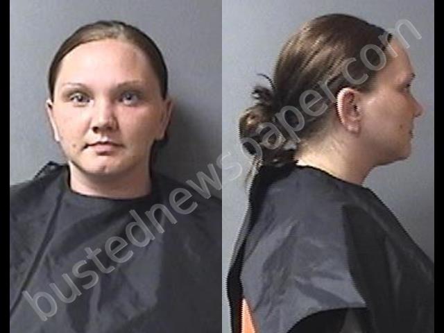 RUNYAN, MEGAN NICOLE #, Madison County, Indiana - 2019-08-02 19:02:00