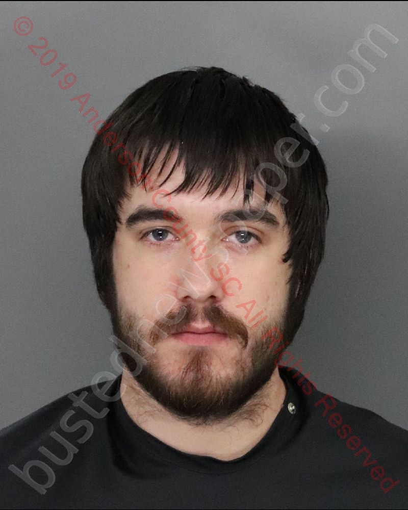 DYLAN LEON HUNSINGER #, Anderson County, South Carolina - 2019-08-03 09:18:00