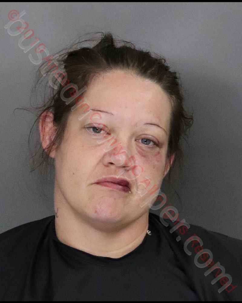 NATASHA MARYJANE DIXON #, Anderson County, South Carolina - 2019-08-03 09:50:00