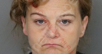 LISA MICHELLE BUSH | 2019-08-04 23:34:00 Anderson County, South Carolina Booking