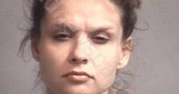 <B>ADAMS</B>, <B>BRANDY</B> SABRINA #, Davidson County, North Carolina - 2019-08-05 23:22:00
