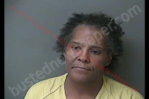 JUANITA LUCILLE USSERY | 2019-08-05 19:56:00 Howard County, Indiana Booking