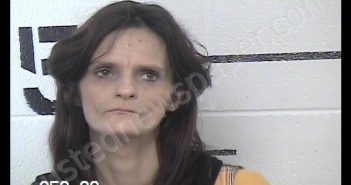 IRVIN, ROSE ANN | 2019-08-06 10:31:00 Chase County, Kansas Booking